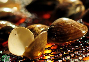 花甲不開口能吃嗎？花甲不開口是不是死了？