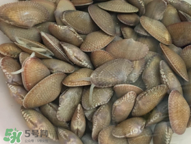 如何辨別花甲的死活？怎么辨別花甲的死活？