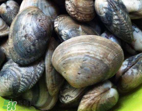 如何辨別花甲的死活？怎么辨別花甲的死活？