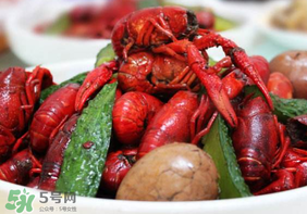 龍蝦什么時候上市？龍蝦幾月份上市？