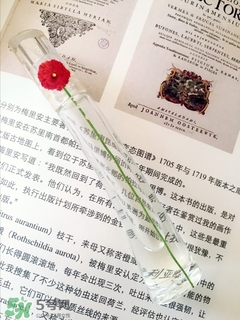 kenzo香水一枝花多少錢？kenzo一枝花香水怎么樣價格