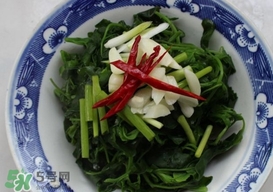 灰灰菜有什么功效？灰灰菜有什么營(yíng)養(yǎng)價(jià)值