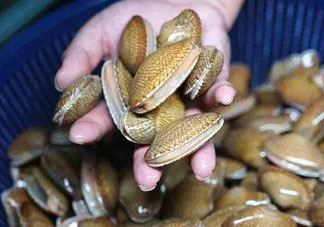 花甲張開是不是死了？花甲開口是不是死了？