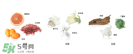 郎朗香水是什么牌子？郎朗香水是什么檔次？