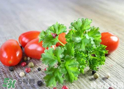 四月份可以種香菜嗎？四月份還能種香萊嗎？