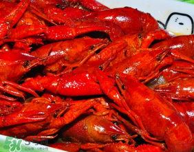 龍蝦為什么變紅？為什么龍蝦煮熟后會變紅？