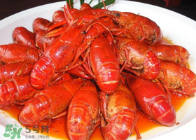 小龍蝦為什么那么貴？小龍蝦怎么這么貴？