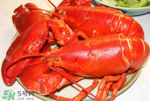 龍蝦怎么保存不會死？龍蝦怎么保存才新鮮？