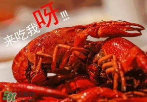 煮熟的小龍蝦隔夜能吃嗎？煮熟的小龍蝦能放多久？