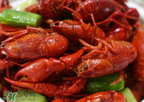 龍蝦變黑了還能吃嗎？龍蝦頭變黑了還能吃嗎？