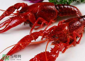 龍蝦發(fā)苦怎么回事？龍蝦發(fā)苦能吃嗎？