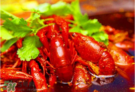 小龍蝦去頭還是不去頭？小龍蝦是吃去頭的好還是不去頭的好？