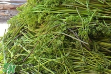 蕨菜干怎么泡發(fā)?蕨菜干如何泡發(fā)? 蕨菜干怎么泡發(fā)?蕨菜干如何泡發(fā)?