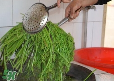 蕨菜干怎么泡發(fā)?蕨菜干如何泡發(fā)? 蕨菜干怎么泡發(fā)?蕨菜干如何泡發(fā)?