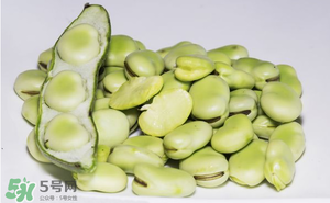 蠶豆為什么小孩不能吃？小孩為什么不能吃蠶豆？