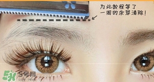 貝印修眉刀紅色和藍(lán)色那個(gè)好？貝印修眉刀紅色和藍(lán)色區(qū)別