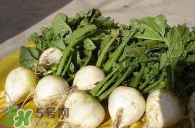 芥菜絲怎么腌制？芥菜絲的腌制方法大全