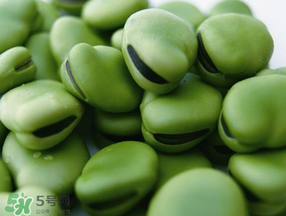 蠶豆發(fā)芽能吃嗎？蠶豆長芽了還能吃嗎？