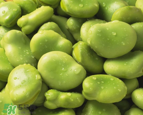 蠶豆發(fā)芽能吃嗎？蠶豆長芽了還能吃嗎？