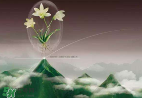 九毒日是哪幾天？2017年九毒日是哪幾天？