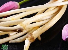 藕帶什么時候有？藕帶什么時候上市