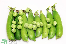 豌豆隔夜能吃嗎？豌豆可以隔夜吃嗎？