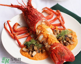 龍蝦怎么養(yǎng)不會(huì)死？大龍蝦怎么養(yǎng)不會(huì)死？