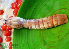 皮皮蝦哪些部位不能吃？皮皮蝦什么部位不能吃？