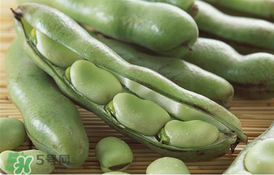 蠶豆要焯水嗎？炒蠶豆要焯水嗎？