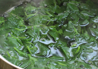 灰灰菜不能和什么一起吃？灰灰菜不能和什么同吃