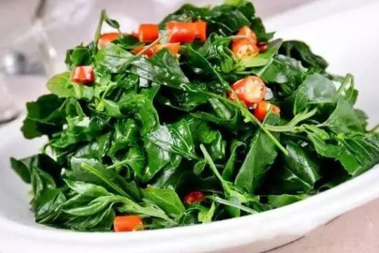 灰灰菜不能和什么一起吃？灰灰菜不能和什么同吃