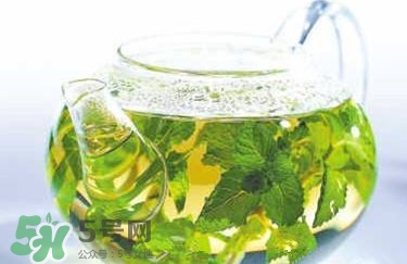 薄荷泡水喝有什么好處？薄荷葉泡水的功效