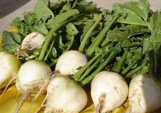 芥菜疙瘩孕婦能吃嗎？孕婦可以吃芥菜疙瘩嗎