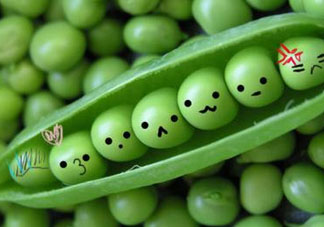 豌豆隔夜能吃嗎？豌豆可以隔夜吃嗎？