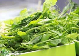 豌豆苗怎么做好吃？豌豆苗的做法