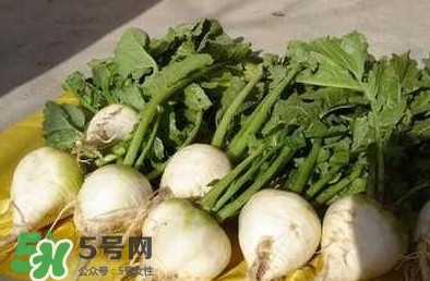 芥菜疙瘩孕婦能吃嗎？孕婦可以吃芥菜疙瘩嗎