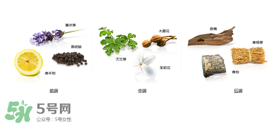 郎朗香水是什么牌子？郎朗香水是什么檔次？