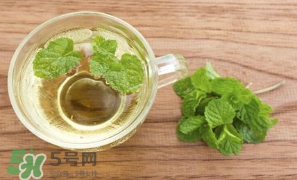 薄荷葉能生吃嗎？薄荷葉可以生吃嗎