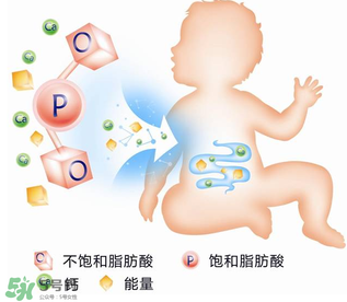 kabrita佳貝艾特羊奶粉怎么樣？kabrita佳貝艾特羊奶粉好不好？