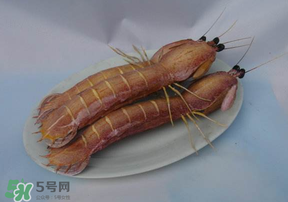 皮皮蝦死了還能吃嗎？皮皮蝦死了多久還能吃？