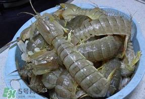 皮皮蝦死的怎么清洗？死的皮皮蝦怎么清洗？