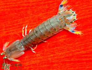 皮皮蝦煮多長(zhǎng)時(shí)間？水煮皮皮蝦多長(zhǎng)時(shí)間？