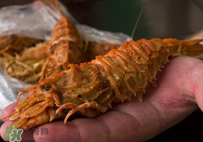蝦爬子不能和什么一起吃？吃完蝦爬子不能吃什么？
