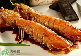 蝦爬子不能和什么一起吃？吃完蝦爬子不能吃什么？