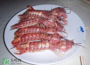 蝦爬子多少錢一斤？2017蝦爬子價格