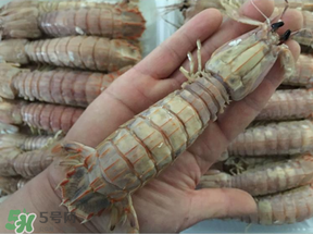 蝦爬子是蒸還是煮？蝦爬子蒸好還是煮好？