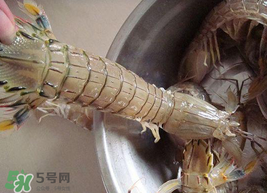 皮皮蝦可以放冰箱嗎？皮皮蝦能放冰箱保存嗎？