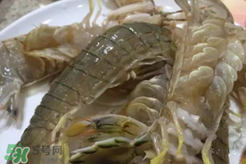 皮皮蝦可以放冰箱嗎？皮皮蝦能放冰箱保存嗎？