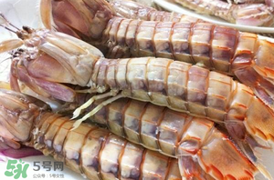 皮皮蝦黃能吃嗎？皮皮蝦黃的營(yíng)養(yǎng)價(jià)值