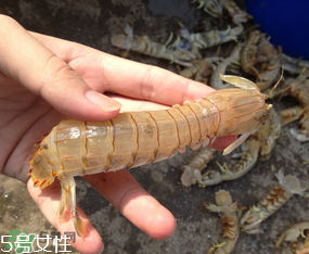 ?皮皮蝦發(fā)綠能吃嗎？?皮皮蝦變綠了還能吃嗎？